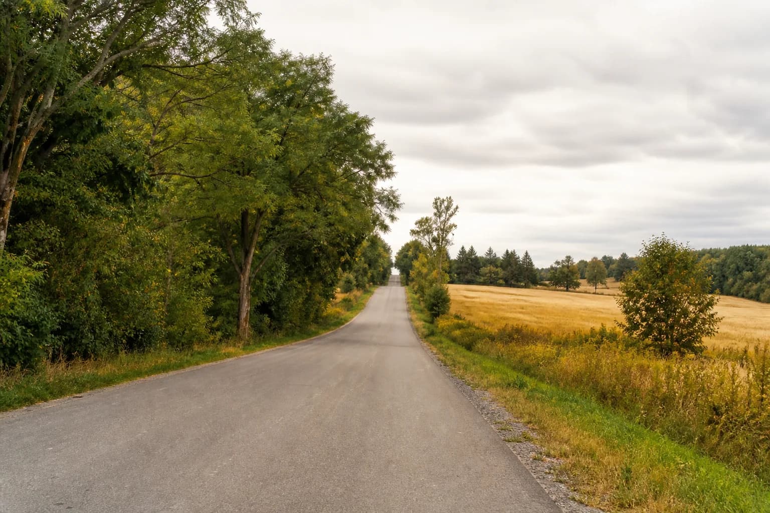 Arbourview renderings placeholder — Eighth Line countryside at the edge of Georgetown