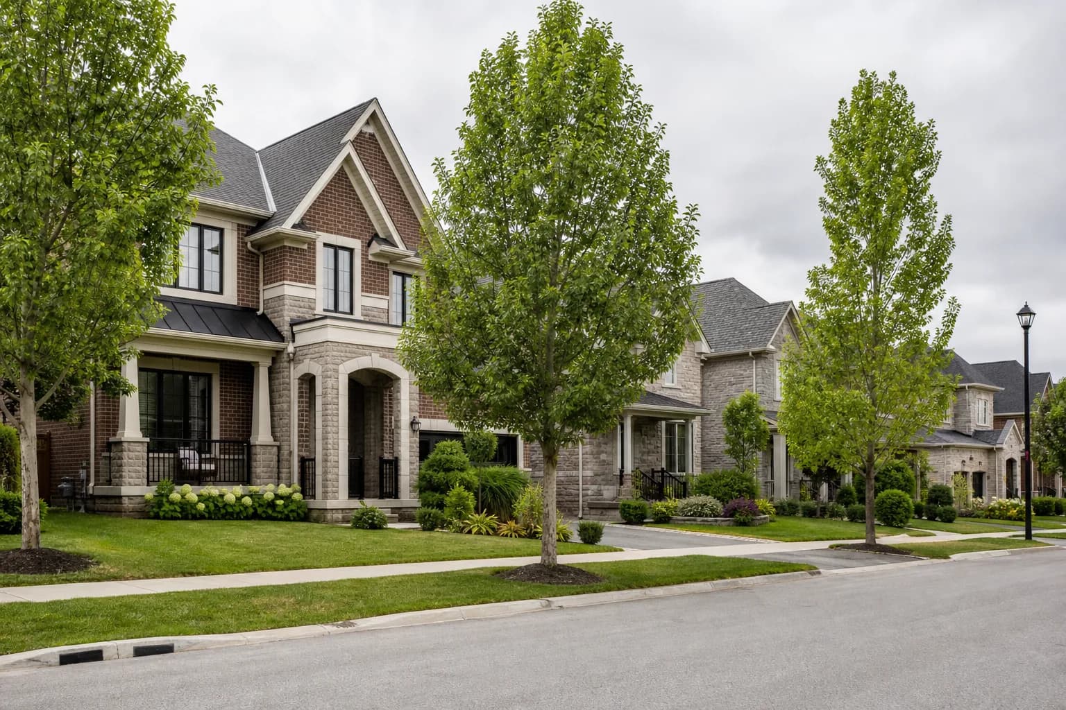 WideLot homes Georgetown streetscape illustrating wider-than-standard lot character